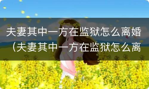 夫妻其中一方在监狱怎么离婚（夫妻其中一方在监狱怎么离婚呢）