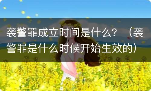 袭警罪成立时间是什么？（袭警罪是什么时候开始生效的）