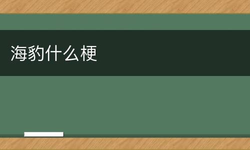 海豹什么梗