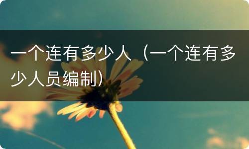 一个连有多少人（一个连有多少人员编制）