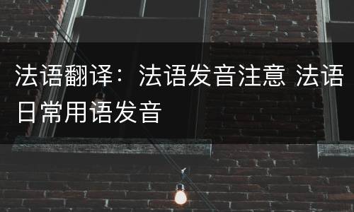 法语翻译：法语发音注意 法语日常用语发音