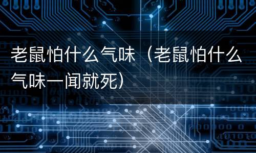 老鼠怕什么气味（老鼠怕什么气味一闻就死）