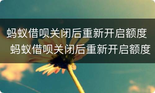 蚂蚁借呗关闭后重新开启额度 蚂蚁借呗关闭后重新开启额度还能用吗