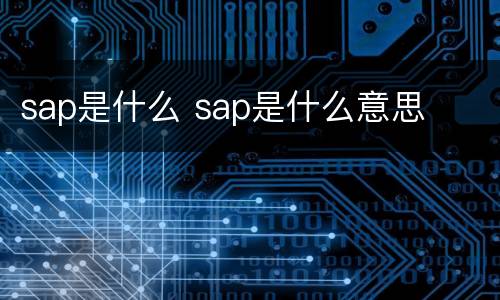 sap是什么 sap是什么意思