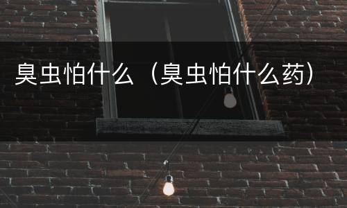 臭虫怕什么（臭虫怕什么药）