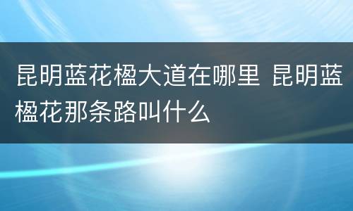 昆明蓝花楹大道在哪里 昆明蓝楹花那条路叫什么