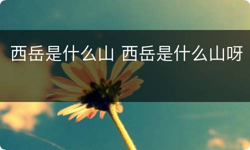 西岳是什么山 西岳是什么山呀