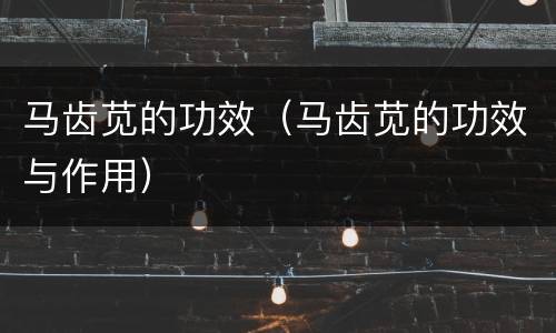 马齿苋的功效（马齿苋的功效与作用）