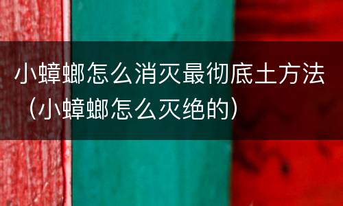 小蟑螂怎么消灭最彻底土方法（小蟑螂怎么灭绝的）