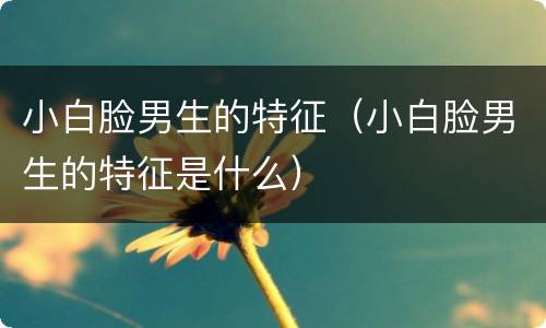 小白脸男生的特征（小白脸男生的特征是什么）