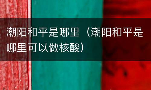 潮阳和平是哪里（潮阳和平是哪里可以做核酸）