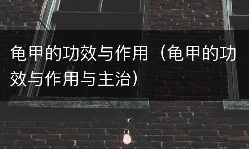 龟甲的功效与作用（龟甲的功效与作用与主治）
