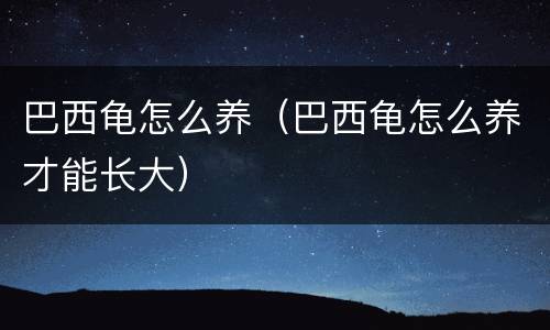 巴西龟怎么养（巴西龟怎么养才能长大）