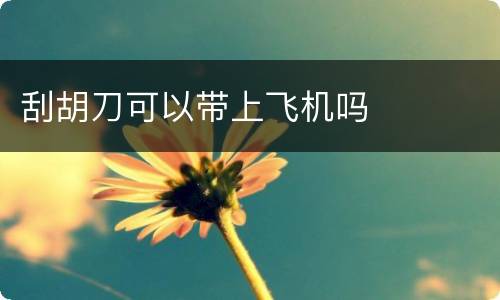 刮胡刀可以带上飞机吗