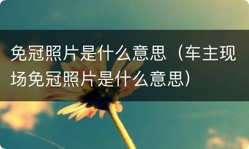 免冠照片是什么意思（车主现场免冠照片是什么意思）