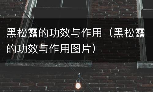 黑松露的功效与作用（黑松露的功效与作用图片）