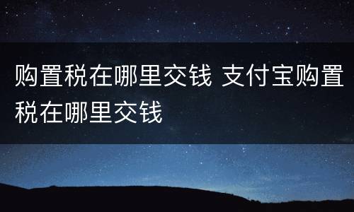 购置税在哪里交钱 支付宝购置税在哪里交钱