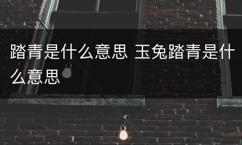 踏青是什么意思 玉兔踏青是什么意思