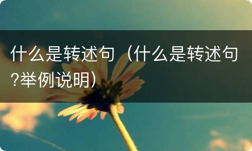 什么是转述句（什么是转述句?举例说明）