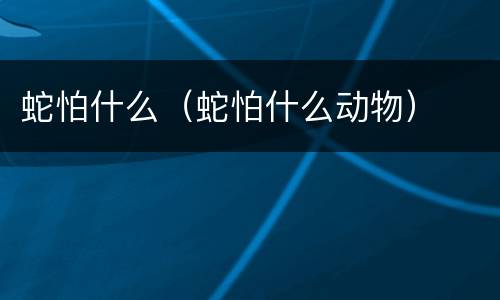 蛇怕什么（蛇怕什么动物）