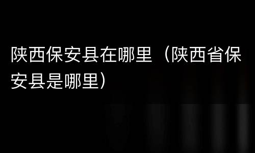 陕西保安县在哪里（陕西省保安县是哪里）