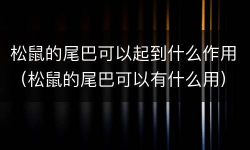 松鼠的尾巴可以起到什么作用（松鼠的尾巴可以有什么用）