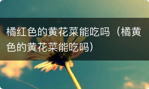 橘红色的黄花菜能吃吗（橘黄色的黄花菜能吃吗）