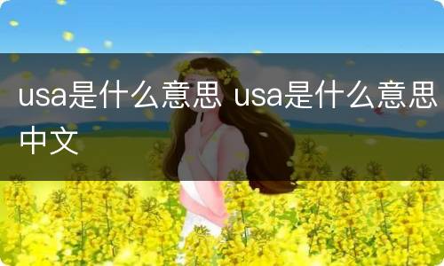 usa是什么意思 usa是什么意思中文