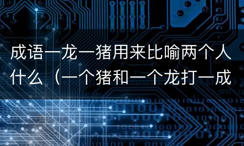 成语一龙一猪用来比喻两个人什么（一个猪和一个龙打一成语）