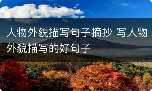 人物外貌描写句子摘抄 写人物外貌描写的好句子