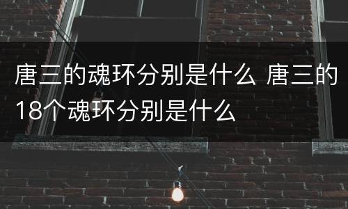 唐三的魂环分别是什么 唐三的18个魂环分别是什么