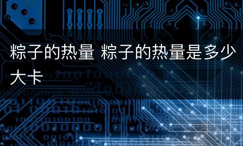 粽子的热量 粽子的热量是多少大卡