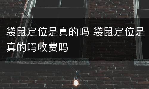 袋鼠定位是真的吗 袋鼠定位是真的吗收费吗