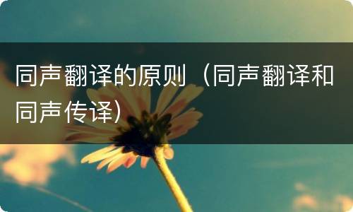 同声翻译的原则（同声翻译和同声传译）