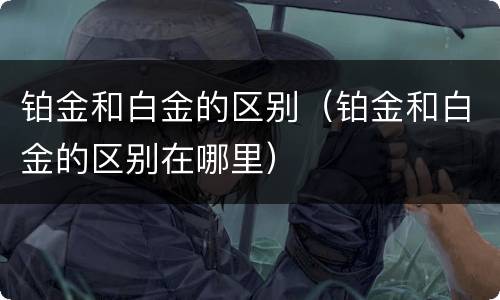 铂金和白金的区别(铂金和白金的区别在哪里)