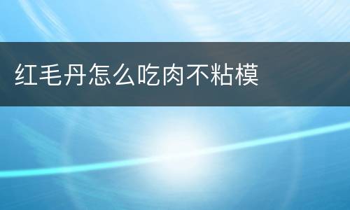 红毛丹怎么吃肉不粘模