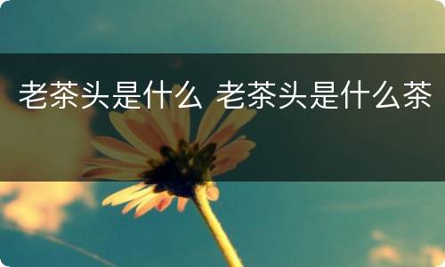 老茶头是什么 老茶头是什么茶