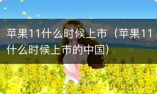 苹果11什么时候上市（苹果11什么时候上市的中国）