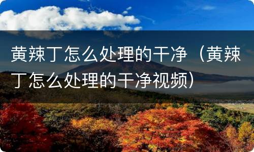 黄辣丁怎么处理的干净（黄辣丁怎么处理的干净视频）