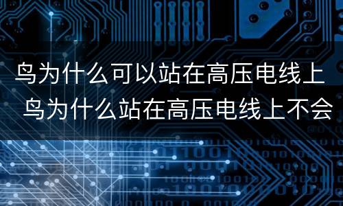 鸟为什么可以站在高压电线上 鸟为什么站在高压电线上不会被电死
