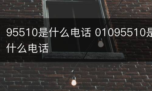95510是什么电话 01095510是什么电话