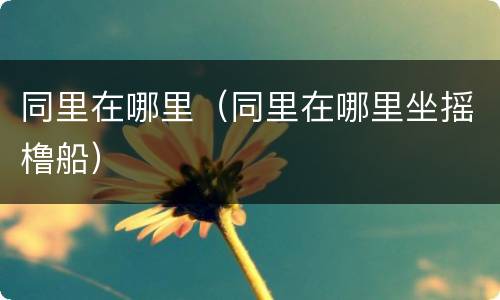 同里在哪里（同里在哪里坐摇橹船）