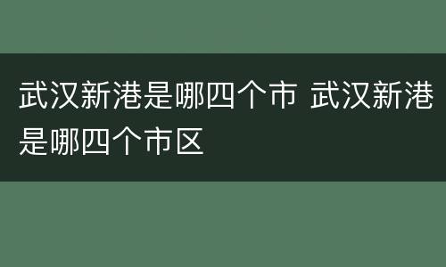 武汉新港是哪四个市 武汉新港是哪四个市区