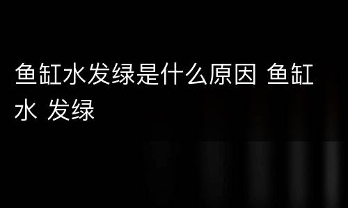 鱼缸水发绿是什么原因 鱼缸 水 发绿