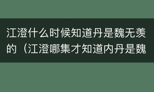 江澄什么时候知道丹是魏无羡的（江澄哪集才知道内丹是魏无羡的）