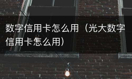 数字信用卡怎么用（光大数字信用卡怎么用）