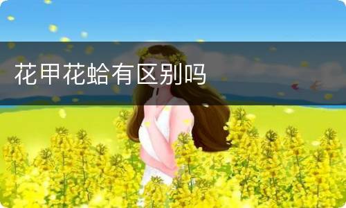 花甲花蛤有区别吗