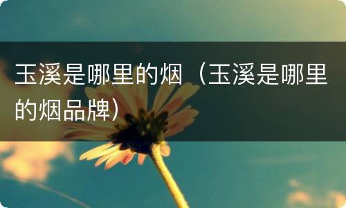 玉溪是哪里的烟（玉溪是哪里的烟品牌）