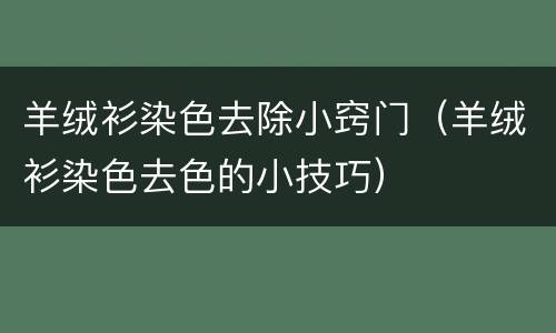 羊绒衫染色去除小窍门（羊绒衫染色去色的小技巧）