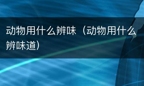 动物用什么辨味（动物用什么辨味道）